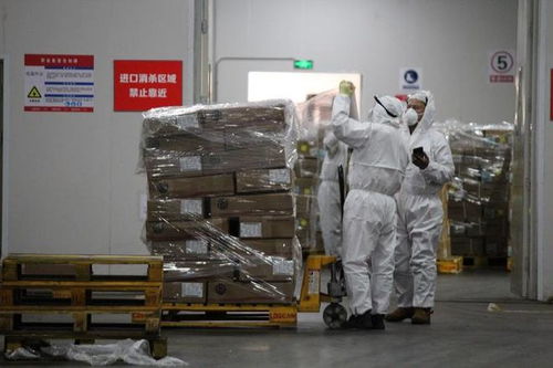 《公路、水路進口冷鏈食品物流新冠病毒防控和消毒技術指南（第四版）》印發 強化道路貨物運輸環節防控